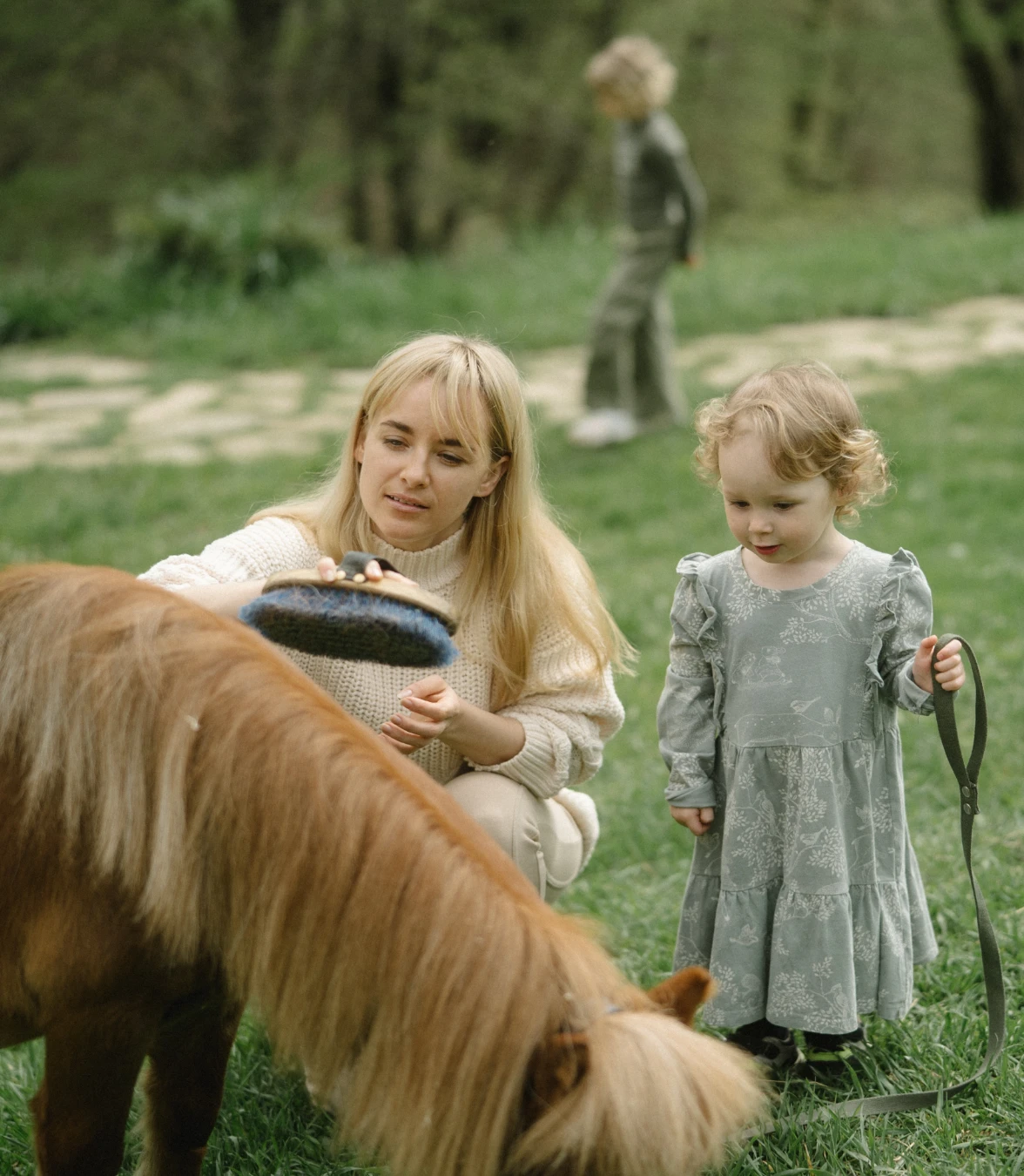 Activités en famille 