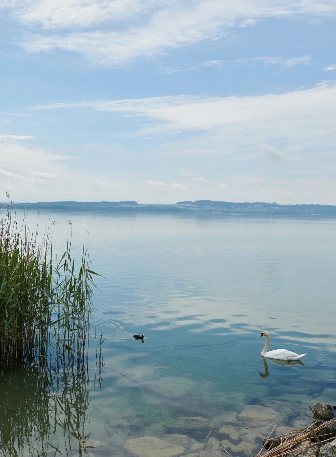 Une nature préservée