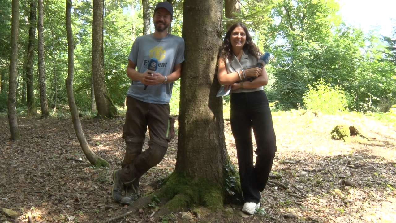 A la découverte des secrets de Colombier