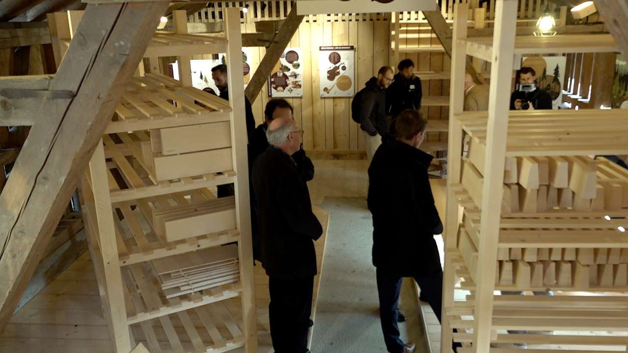 La xylothèque de Cernier, la future épicerie des luthiers
