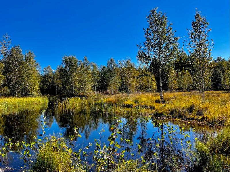 Une étude européenne (et neuchâteloise) au chevet de nos tourbières