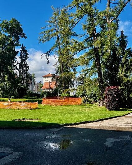 Le parc des Musées entame sa mue