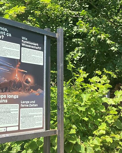 Remonter le fil du temps en pleine forêt neuchâteloise
