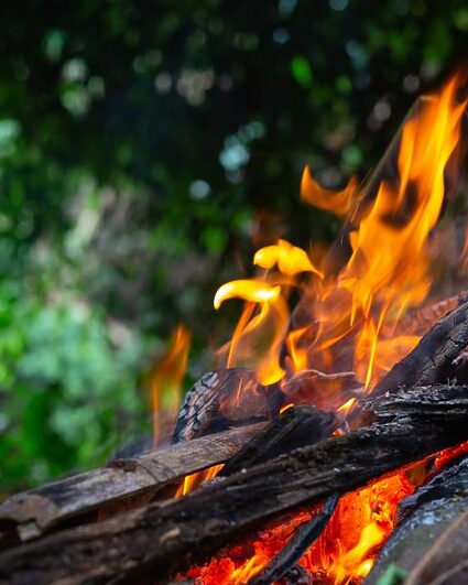 Danger d’incendie de forêt accru dans le canton de Neuchâtel