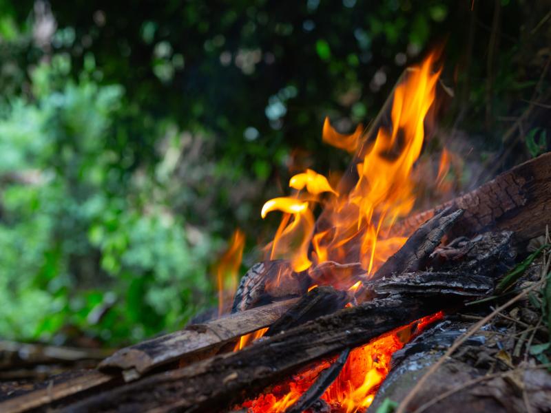 Danger d’incendie de forêt accru dans le canton de Neuchâtel