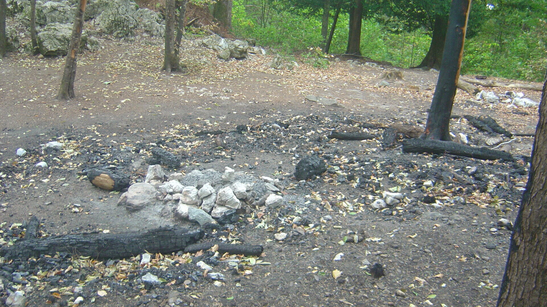 Danger d’incendie en forêt marqué, les autorités appellent à la prudence