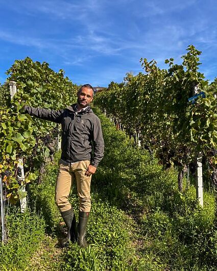 Un millésime 2025 plein de promesses pour les vins neuchâtelois