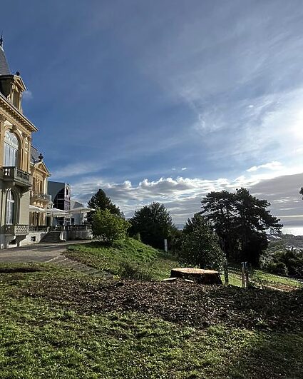 Davantage de couleurs au jardin du MEN