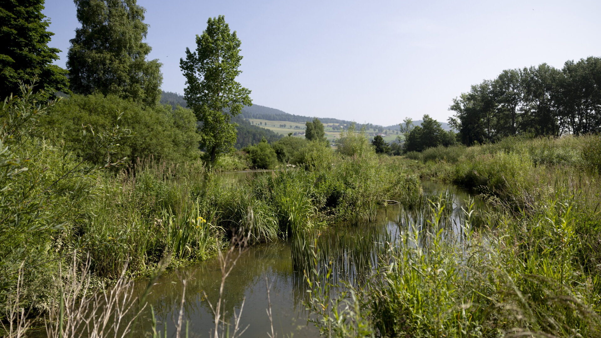 Des allées d’arbres et un verger plantés au Val-de-Travers