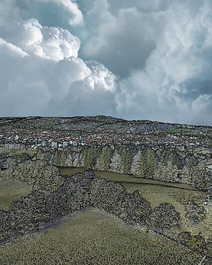 Il n’y a pas d’arbre anonyme dans les forêts neuchâteloises