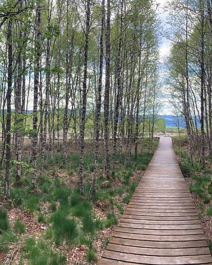 La Maison de la Tourbière primée au Prix de l’Arc jurassien 2025