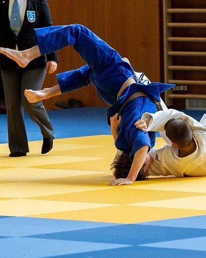 Trois médailles pour les judokas du Haut