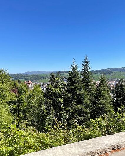 Appli et carte toutes neuves pour Les Chemins des 7 abeilles