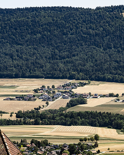 Sécheresse à Neuchâtel et en Suisse: découvrez les images satellite comparatives entre août 2025 et 2026