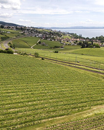 Le Littoral neuchâtelois et le Val-de-Ruz particulièrement touchés par la pénurie de logements